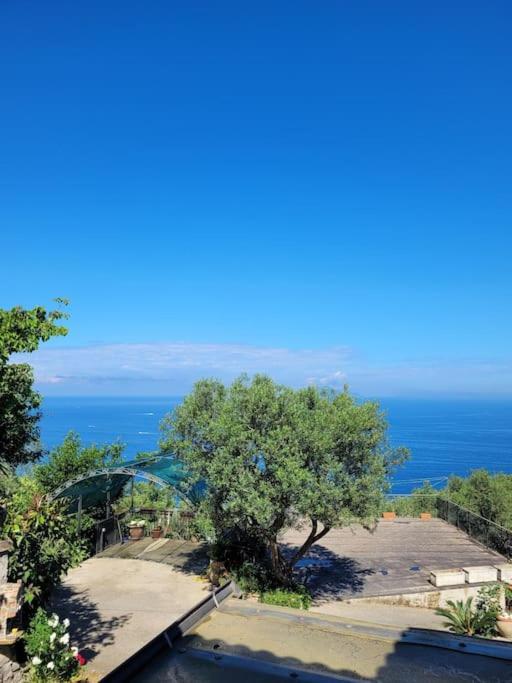Sun & Relax, Relaxing Location With Seaview Villa Massa Lubrense Kültér fotó